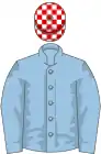 Light blue, red and white check cap
