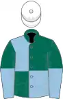 Dark Green and Light Blue (quartered), halved sleeves, White cap