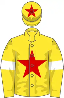 Yellow, red star, yellow sleeves, white armlets, yellow cap, red star