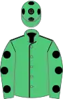 Emerald green, black seams, emerald green sleeves, black spots and spots on cap