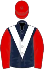 Dark blue, white chevron, red sleeves and cap