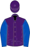 Purple, royal blue sleeves