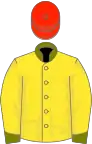 Yellow, Olive Green collar and cuffs, Scarlet cap