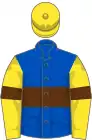 Royal blue, brown hoop and armlets, yellow sleeves and cap