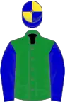 Green, blue sleeves, blue and yellow quartered cap