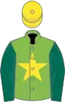 Light green, yellow star, dark green sleeves, yellow cap