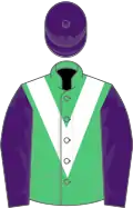 Emerald green, white chevron, purple sleeves and cap