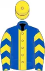 Royal blue, yellow stripe, chevrons on sleeves, yellow cap