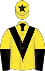 Yellow, black chevron, black and yellow halved sleeves, yellow cap, black star