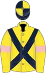Yellow, dark blue cross belts, yellow sleeves, pink armlets, dark blue and yellow quartered cap