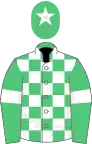 Emerald green and white check, emerald green sleeves, white armlets and star on cap