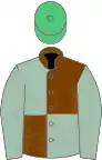 Chocolate and cambridge blue (quartered), blue sleeves, emerald green cap