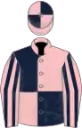 Pink and dark blue (quartered), striped sleeves, quartered cap