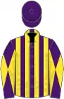 Purple and yellow stripes, diabolo on sleeves