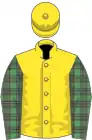 Yellow, mcalpine tartan sleeves