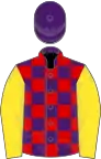 Purple and Red check, Yellow sleeves, Purple cap