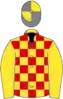 Yellow and red checked, yellow sleeves, quartered cap