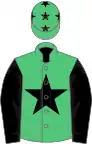 Emerald green, black star, sleeves and stars on cap