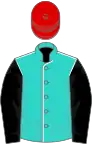 Turquoise, white seams, black sleeves, red cap