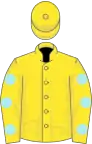 Yellow, pale blue spots on sleeves
