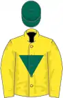 Yellow, dark green inverted triangle, yellow sleeves, dark green cap
