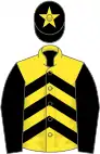 Yellow, black chevrons and sleeves, black cap, yellow star