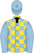 Yellow, light blue checked, light blue sleeves, light blue cap