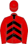 Red, black chevrons on body