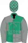 Grey and Emerald Green quartered, yellow circle, Grey sleeves, emerald green and grey checked cap
