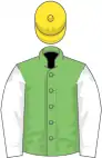 Light green, white sleeves, yellow cap