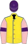 Yellow, royal blue seams, pink sleeves, purple armlets, purple cap
