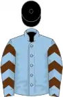 Light blue, brown chevrons on sleeves, black cap
