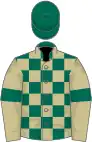 Dark green and beige check, beige sleeves, green armlets and cap