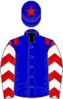 Blue, red epaulets, red sleeves, white chevrons, blue cap, red star