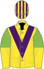 Yellow, purple chevron, light green and yellow halved sleeves, purple and yellow striped cap