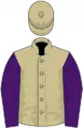 Beige, purple sleeves