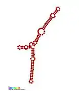 P2: Secondary structure taken from the Rfam database. Family RF01672