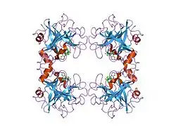 2fs9: Human beta tryptase II with inhibitor CRA-28427
