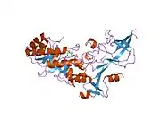 7odc: CRYSTAL STRUCTURE ORNITHINE DECARBOXYLASE FROM MOUSE, TRUNCATED 37 RESIDUES FROM THE C-TERMINUS, TO 1.6 ANGSTROM RESOLUTION