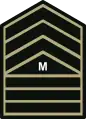Master sergeant(Philippine Army)