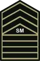 Senior master sergeant insigniaPhilippine Army