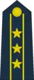 Colonel