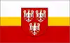 Flag of Olkusz County