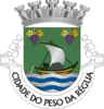 Coat of arms of Peso da Régua