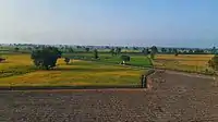 Paddy field near Wagah border
