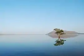 Pakhal Lake in Khanapur Mandal