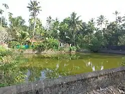 Major Pandavarkavu Devi Temple pond
