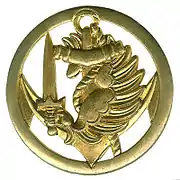 Previous beret insignia of para T.D.M