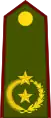 General de brigada(Paraguayan Army)