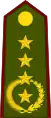 General de ejército(Paraguayan Army)